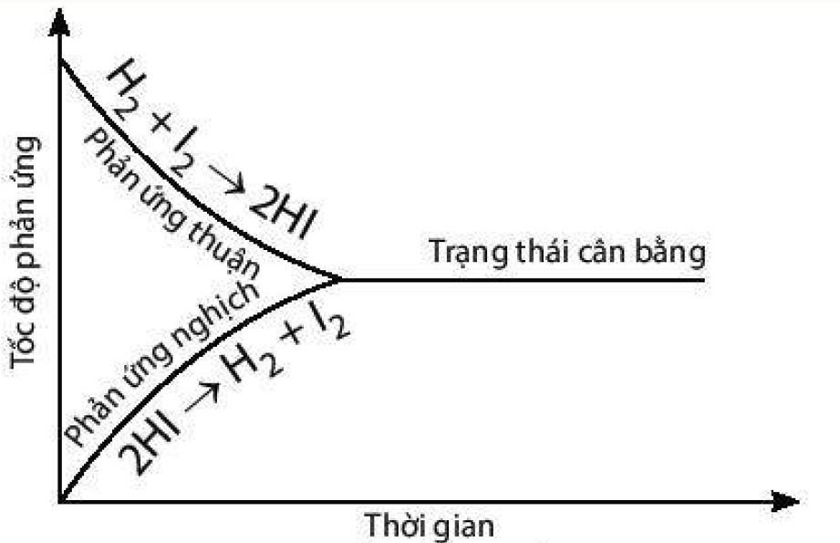 Hóa 11 Kết nối tri thức Bài 1: Khái niệm về cân bằng hóa học