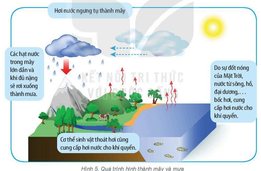 Địa lí 6 Kết nối tri thức Bài 16: Nhiệt độ không khí. Mây và mưa