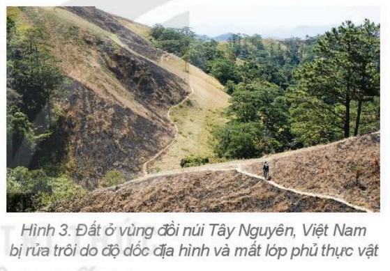 Địa lí 6 Kết nối tri thức Bài 22: Lớp đất trên Trái Đất
