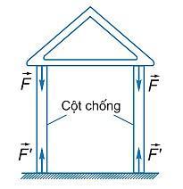Em hãy cho biết loại biến dạng trong mỗi trường hợp sau
