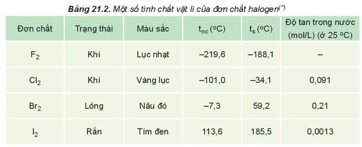 Giải Hóa 10 Kết nối tri thức Bài 21: Nhóm Halogen
