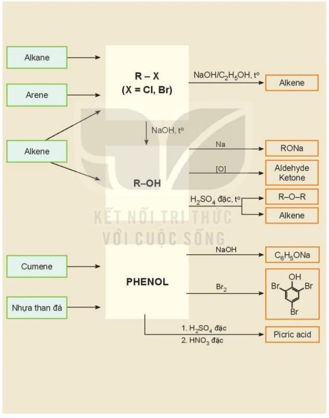 Hóa 11 Kết nối tri thức Bài 22: Ôn tập chương 5