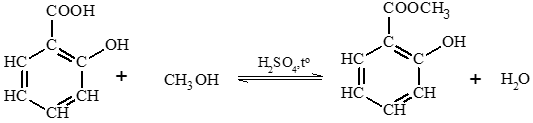 Hóa 11 Kết nối tri thức Bài 24: Carboxylic Acid