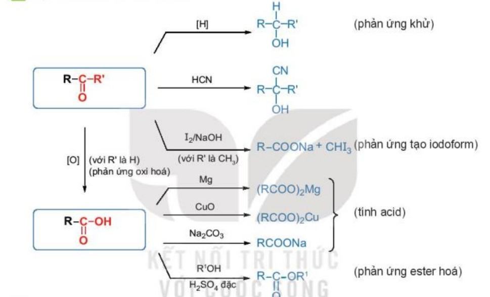 Hóa 11 Kết nối tri thức Bài 25: Ôn tập chương 6