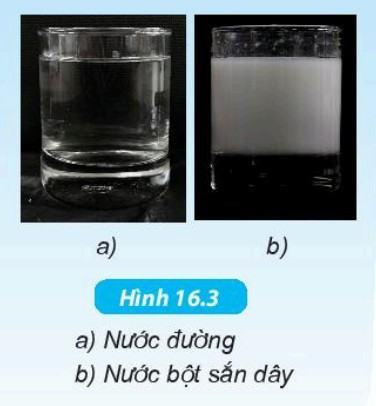 Khoa học tự nhiên 6 Kết nối tri thức Bài 16: Hỗn hợp các chất
