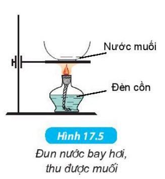 Khoa học tự nhiên 6 Kết nối tri thức Bài 17: Tách chất khỏi hỗn hợp