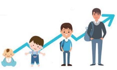 Khoa học tự nhiên 6 Kết nối tri thức Bài 20: Sự lớn lên và sinh sản của tế bào