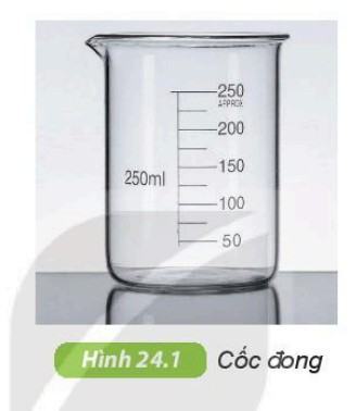 Khoa học tự nhiên 6 Kết nối tri thức Bài 24: Thực hành: Quan sát và mô tả cơ thể đơn bào, cơ thể đa bào