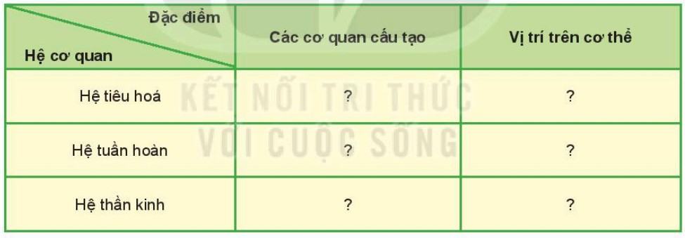 Khoa học tự nhiên 6 Kết nối tri thức Bài 24: Thực hành: Quan sát và mô tả cơ thể đơn bào, cơ thể đa bào