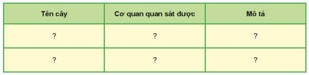 Khoa học tự nhiên 6 Kết nối tri thức Bài 24: Thực hành: Quan sát và mô tả cơ thể đơn bào, cơ thể đa bào