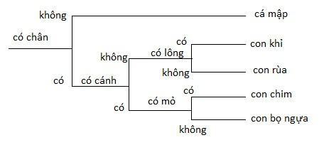 Khoa học tự nhiên 6 Kết nối tri thức Bài 26: Khóa lưỡng phân