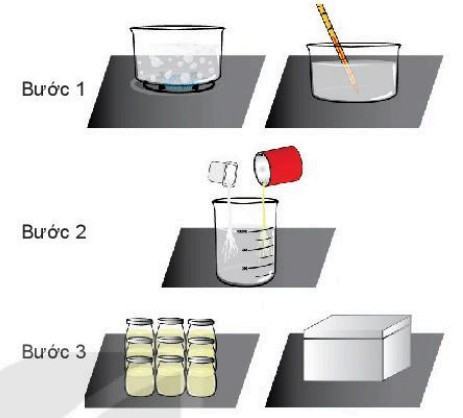 Khoa học tự nhiên 6 Kết nối tri thức Bài 28: Thực hành: Làm sữa chua và quan sát vi khuẩn