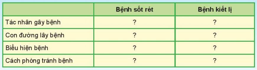 Khoa học tự nhiên 6 Kết nối tri thức Bài 30: Nguyên sinh vật