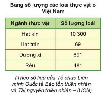 Khoa học tự nhiên 6 Kết nối tri thức Bài 34: Thực vật