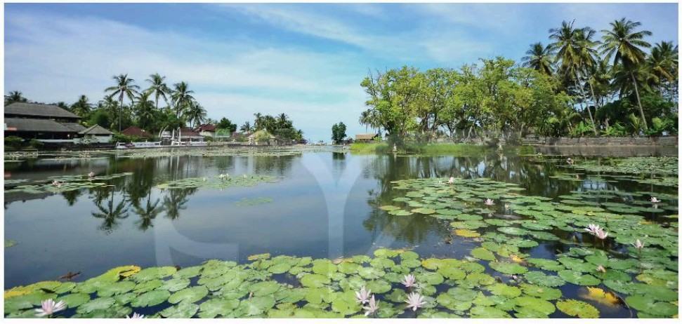 Khoa học tự nhiên 6 Kết nối tri thức Bài 34: Thực vật