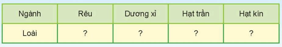 Khoa học tự nhiên 6 Kết nối tri thức Bài 34: Thực vật