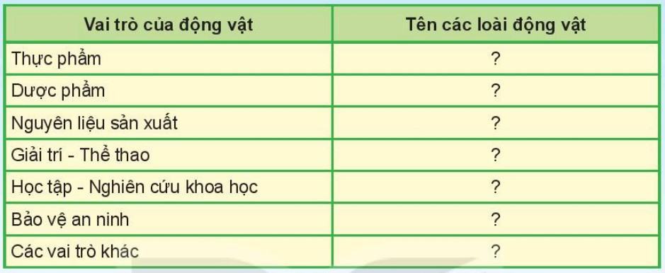 Khoa học tự nhiên 6 Kết nối tri thức Bài 36: Động vật