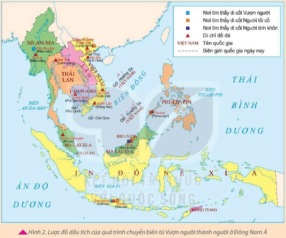 Lịch sử 6 Kết nối tri thức Bài 4: Nguồn gốc loài người
