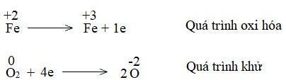 Trong không khí ẩm Fe(OH)2 màu trắng xanh chuyển dần sang Fe(OH)3 màu nâu đỏ