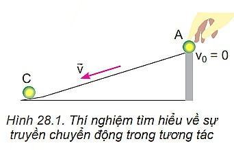 Vật lí 10 Kết nối tri thức Bài 28: Động lượng