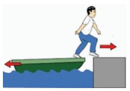 Vật lí 10 Kết nối tri thức Bài 29: Định luật bảo toàn động lượng