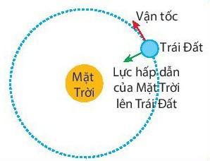 Vật lí 10 Kết nối tri thức Bài 32: Lực hướng tâm và gia tốc hướng tâm