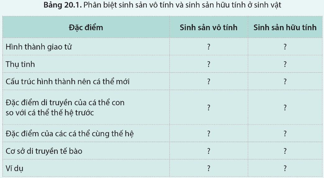 Sinh 11 Cánh Diều Bài 20: Khái quát về sinh sản ở sinh vật