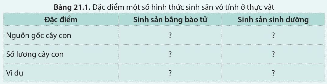 Sinh 11 Cánh Diều Bài 21: Sinh sản ở sinh vật