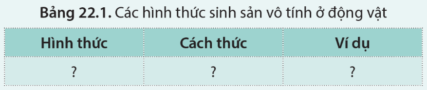 Sinh 11 Cánh Diều Bài 22: Sinh sản ở động vật