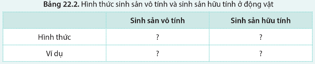 Sinh 11 Cánh Diều Bài 22: Sinh sản ở động vật