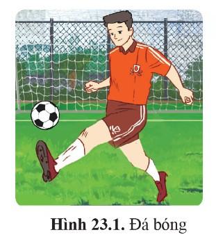 Sinh 11 Cánh Diều Bài 23: Cơ thể là một thể thống nhất