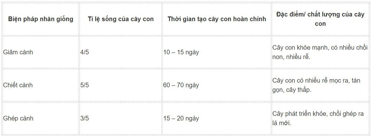 Sinh 11 Kết nối tri thức Bài 26: Thực hành: Nhân giống vô tính và thụ phấn cho cây