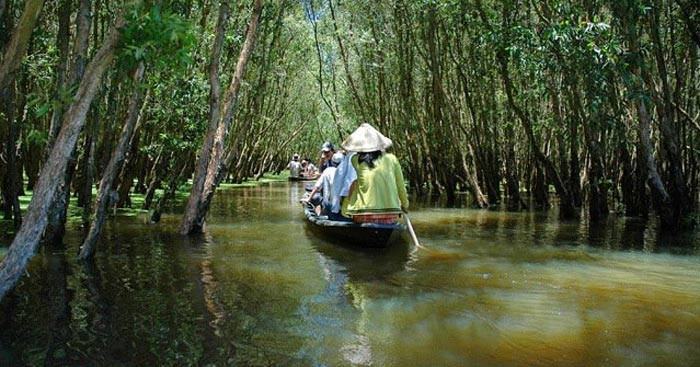 Soạn bài Đi trong hương tràm - Ngữ văn 10 Cánh Diều