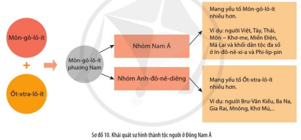 Sử 10 Cánh Diều Bài 10: Cơ sở hình thành văn minh Đông Nam Á thời kì cổ - trung đại