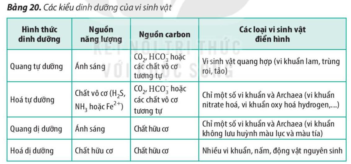 Phân biệt các kiểu dinh dưỡng ở vi sinh vật. So với thực vật và động vật, vi sinh vật có thêm những kiểu dinh dưỡng nào?