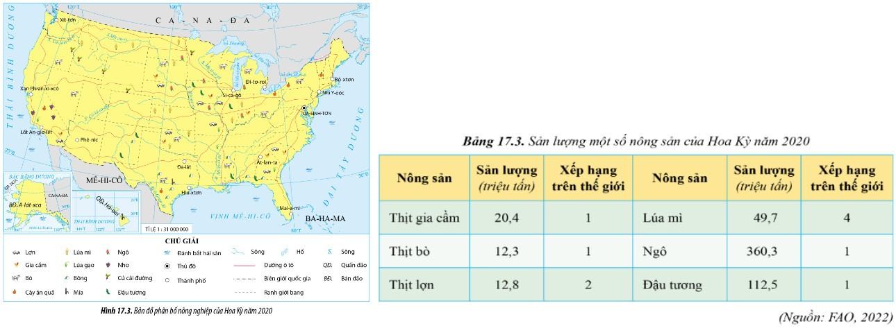 Địa 11 Cánh diều Bài 17: Kinh tế Hoa Kỳ