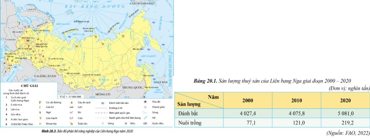 Địa 11 Cánh diều Bài 20: Kinh tế Liên Bang Nga
