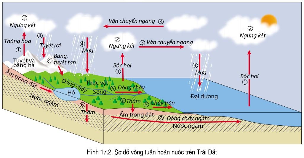 Địa lí 6 Cánh Diều Bài 17: Các thành phần chủ yếu của thủy quyển. Tuần hoàn nước trên Trái Đất