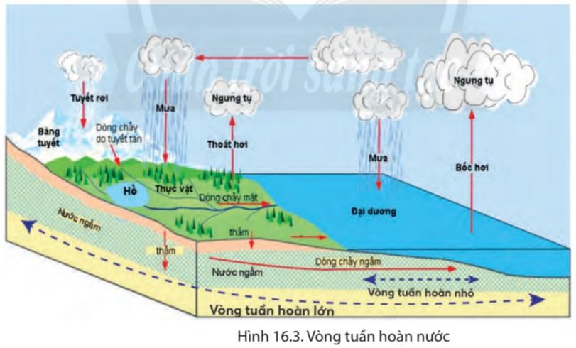 Địa lí 6 Chân trời sáng tạo Bài 16: Thủy quyển. Vòng tuần hoàn nước. Nước ngầm, băng hà