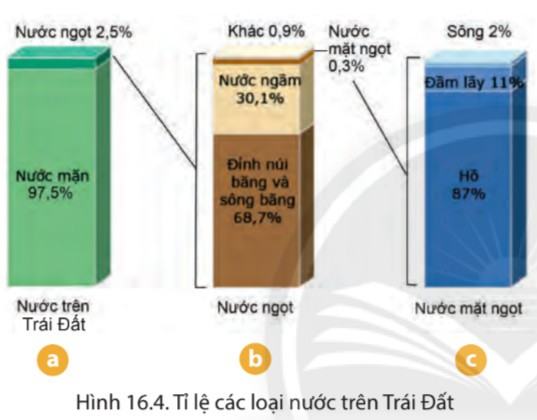 Địa lí 6 Chân trời sáng tạo Bài 16: Thủy quyển. Vòng tuần hoàn nước. Nước ngầm, băng hà