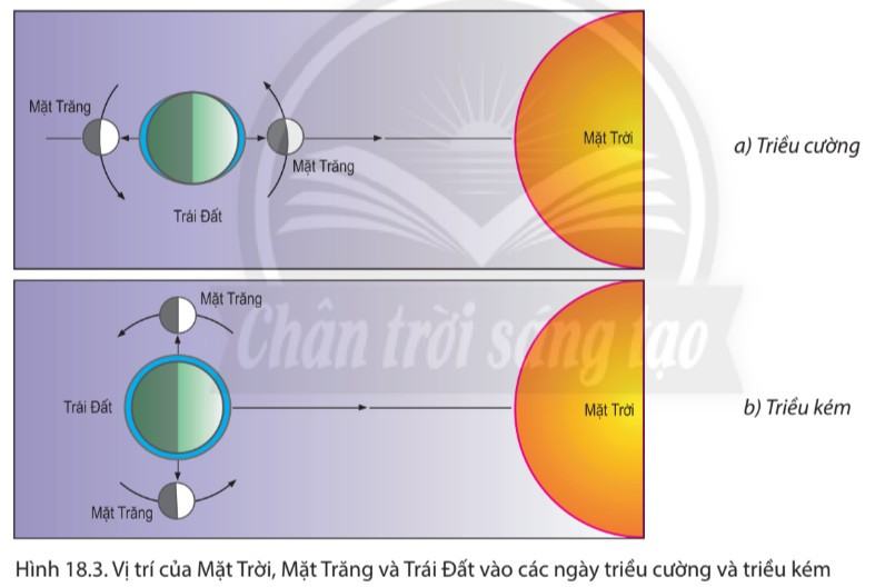 Địa lí 6 Chân trời sáng tạo Bài 18: Biển và đại dương 