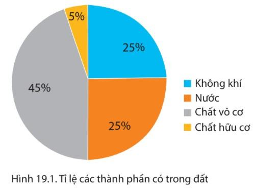 Địa lí 6 Chân trời sáng tạo Bài 19: Lớp đất và các nhân tố hình thành đất. Một số nhóm đất điển hình