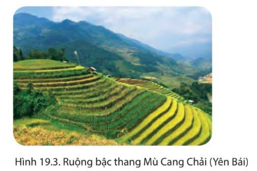 Địa lí 6 Chân trời sáng tạo Bài 19: Lớp đất và các nhân tố hình thành đất. Một số nhóm đất điển hình