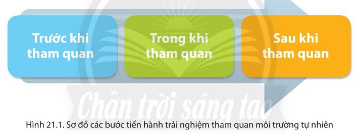 Địa lí 6 Chân trời sáng tạo Bài 21: Thực hành tìm hiểu môi trường tự nhiên qua tài liệu và tham quan địa phương