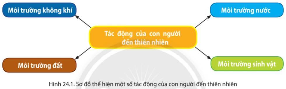 Địa lí 6 Chân trời sáng tạo Bài 24: Thực hành tác động của con người đến thiên nhiên