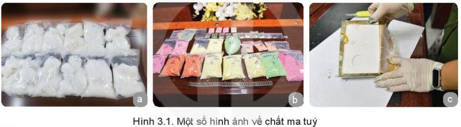 GDQP 10 Kết nối tri thức Bài 3: Ma túy, tác hại của ma túy