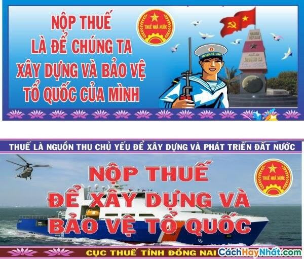 Kinh tế Pháp luật 10 Cánh diều Bài 6: Thuế