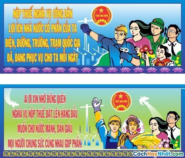 Kinh tế Pháp luật 10 Cánh diều Bài 6: Thuế