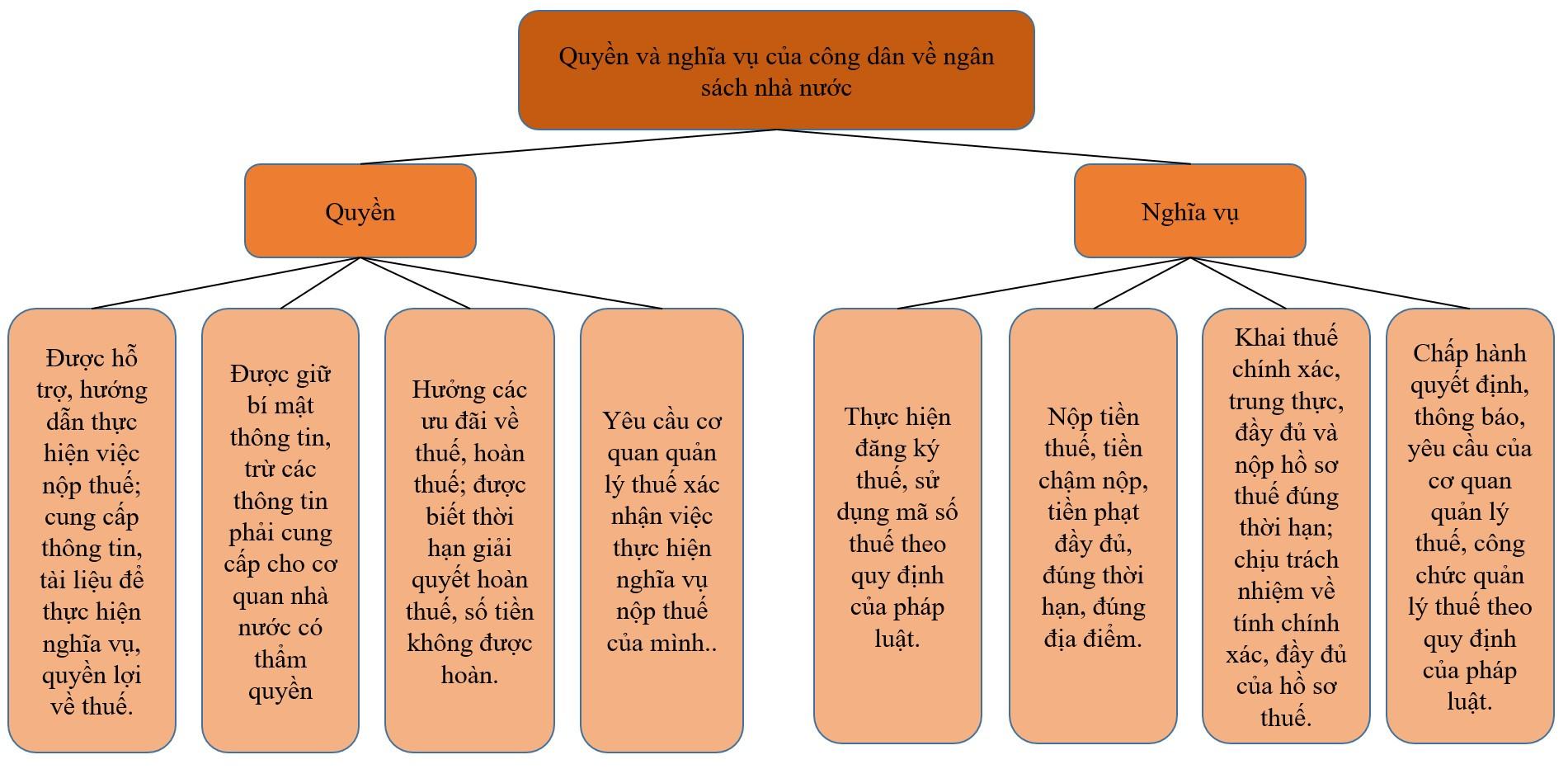 Kinh tế Pháp luật 10 Chân trời sáng tạo Bài 7: Thuế và thực hiện pháp luật về thuế