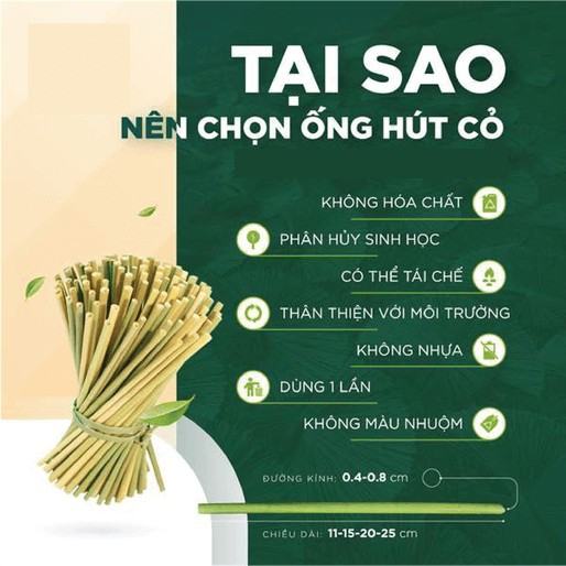 Kinh tế Pháp luật 11 Cánh diều Bài 9: Văn hóa tiêu dùng